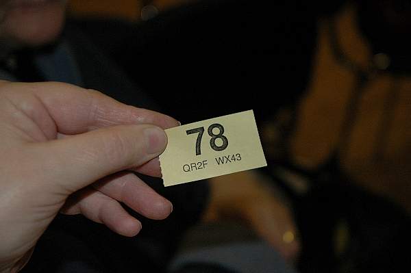 600x399 pixels (162K)